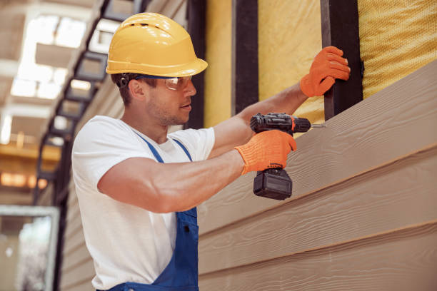 Affordable Siding Repair and Maintenance Services in Big Rock, IL